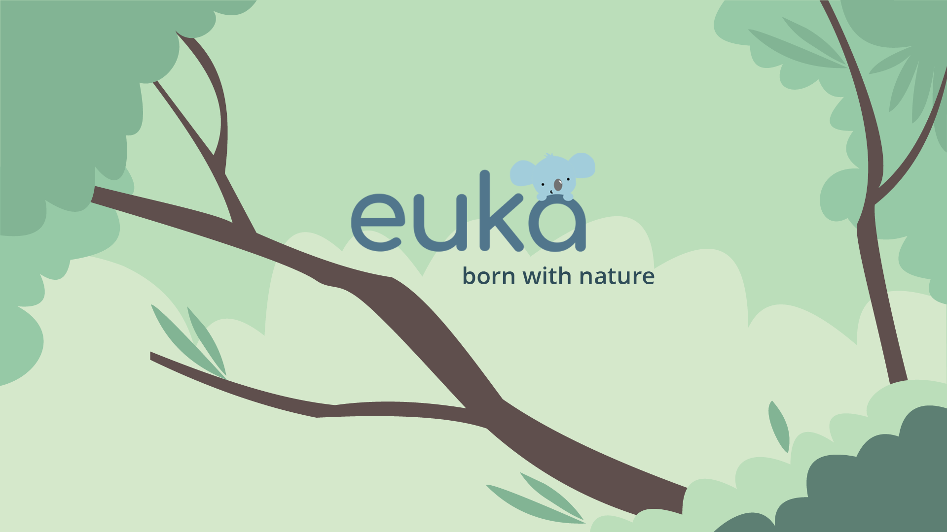 euka-packaging-mascotte-web-graphic-design